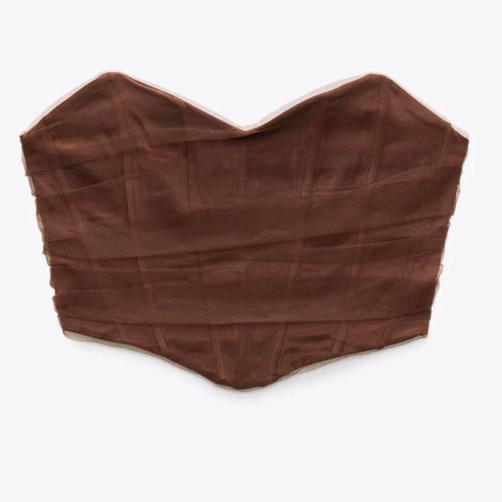 Zara Corsetry Tulle Crop Top- Size XS